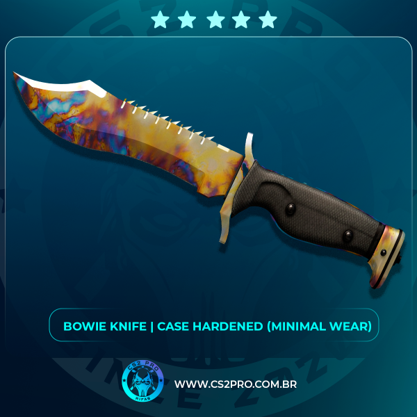 #0906 ★ Bowie Knife | Case Hardened